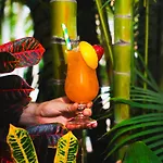 度假居 Marinell Collection 滨海帕尔姆