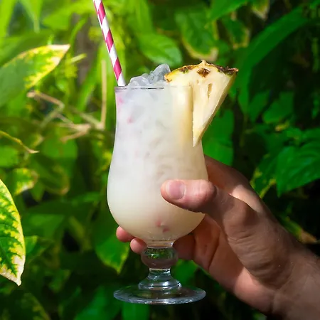 公寓式酒店 Marinell Collection 滨海帕尔姆